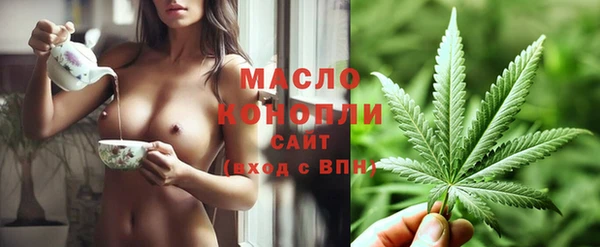 шишки Новозыбков