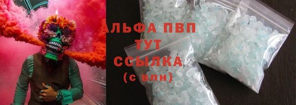 шишки Новозыбков