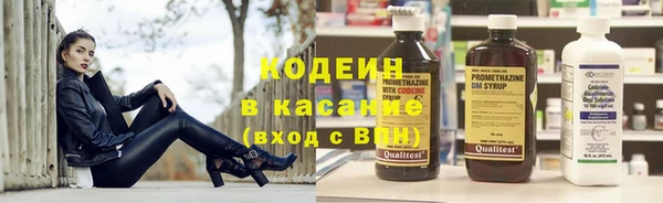 шишки Новозыбков