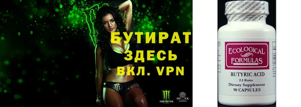 индика Няндома