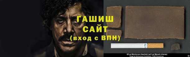 шишки Новозыбков