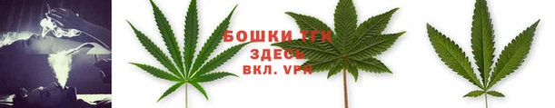 соль ск Новокубанск