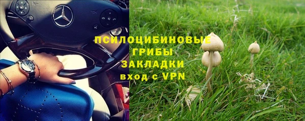 соль ск Новокубанск