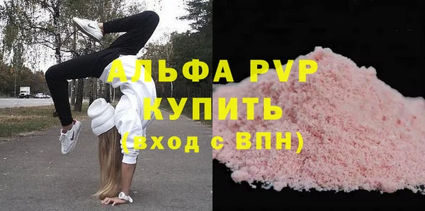 шишки Новозыбков