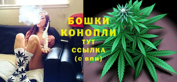 шишки Новозыбков