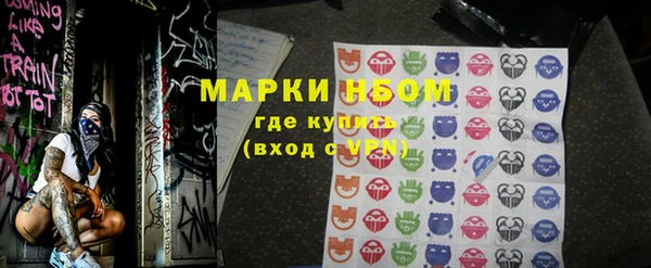 шишки Новозыбков