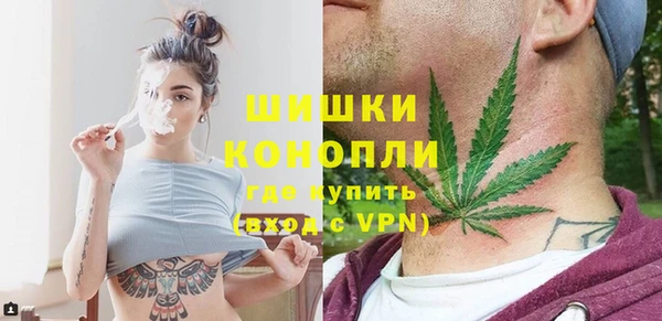 шишки Новозыбков