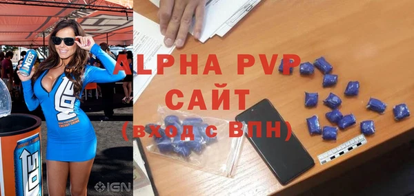 индика Няндома