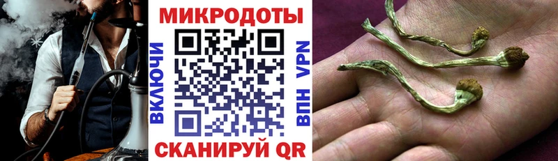 Галлюциногенные грибы Psilocybe  ссылка на мегу зеркало  Печоры  что такое наркотик 
